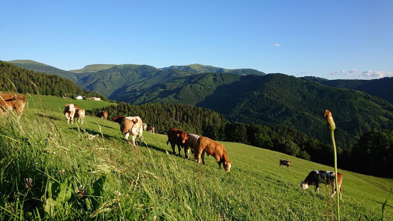 Bauernhof Pension Juri Obergösel Zewnętrze zdjęcie